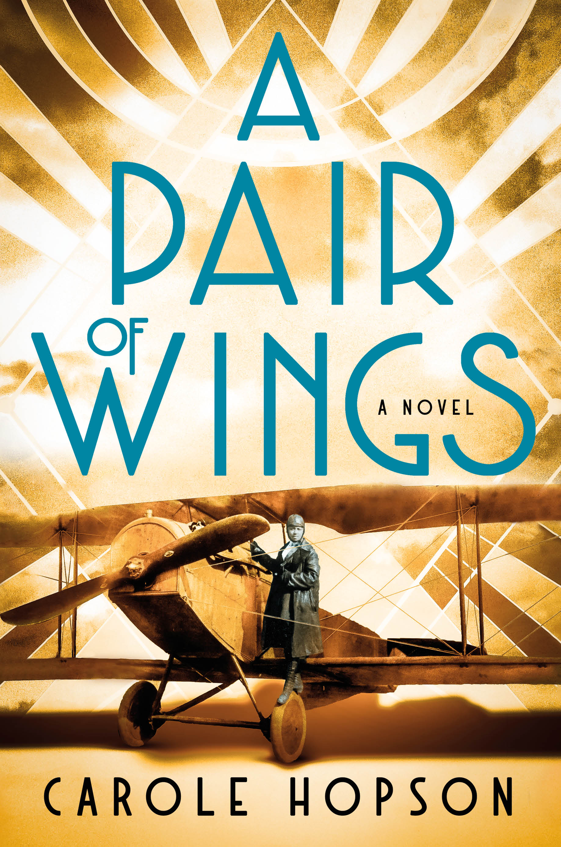 A Pair of Wings.jpg